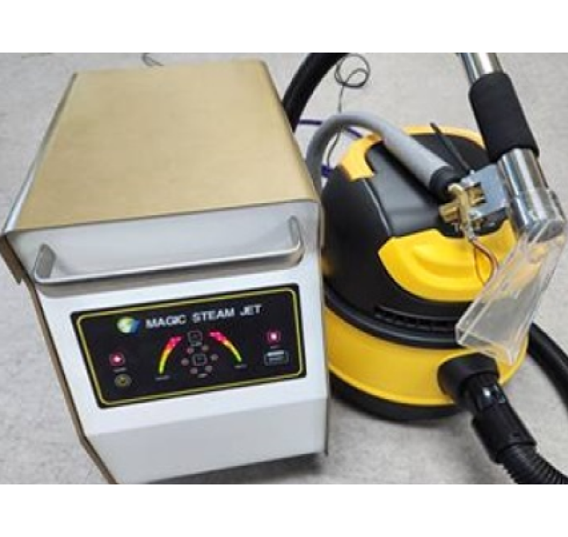Smart Steamer Pro SP1000